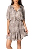 ray dress in flurry