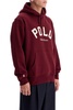 Polo Ralph Lauren Hooded Sweatshirt With