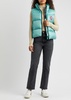 Cypress quilted shell gilet