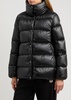 Cochevia quilted nylon jacket 