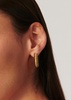 Wavy Ridge medium 18kt gold-plated hoop earrings