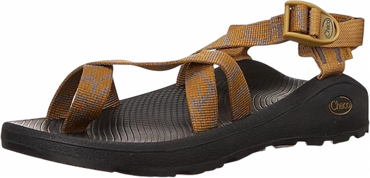 men's zcloud 2 sandal in aerial bronze