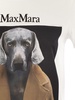 Max Mara Cipria Jersey T Shirt With Print