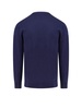 Polo Ralph Lauren Sweater