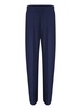 Blue Low Rise Pleated Trousers