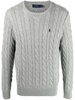 Polo Ralph Lauren Pullover Driver Clothing