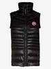 HyBridge Lite down gilet