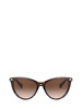 Ralph By Ralph Lauren Eyewear Cat-Eye Frame Sunglasses