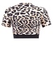 Paco Rabanne Leopard Printed Cropped Top