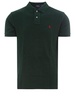 Polo Ralph Lauren Logo Embroidered Polo Shirt