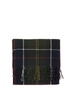 Barbour Checked Fringed Edge Scarf