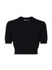 Sportmax Crewneck Cropped Knitted Top