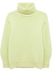 Leylani roll-neck ribbed-knit jumper