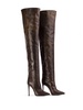 Eva 120mm thigh-high leather boots