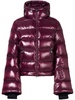 Polar ski jacket 