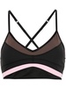 Genesis sports bra