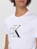 T-shirt men Calvin Klein