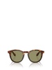 Ar8192 Havana Red / Opal Olive Green Sunglasses