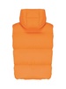 Apus Padded Vest