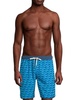 Waves Swim Shorts