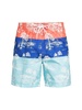 Sano Colorblocked Print Swim Shorts