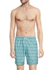 Sano Printed Swim Shorts