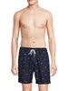 Sano Shark Swim Shorts