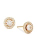 18K Goldplated Sterling Silver & Cubic Zirconia Stud Earrings