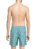 Sano Printed Swim Shorts