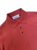 Extra Fine Crepe Cotton Knitted Polo In Cayenne Red