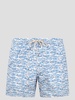 Fish undersea swimshort