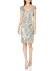 Tadashi Shoji Women's Cap Sleeve Dress with Sequin Lace