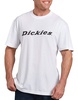 Dickies Men's Short Sleeve Regular Fit Icon Tee