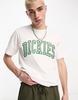 Dickies aitkin varsity logo t-shirt in white