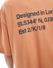 COLLUSION Unisex back branded t-shirt in burnt orange with wash