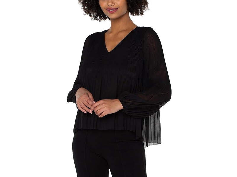 V-Neck Long Sleeve Pleated Top