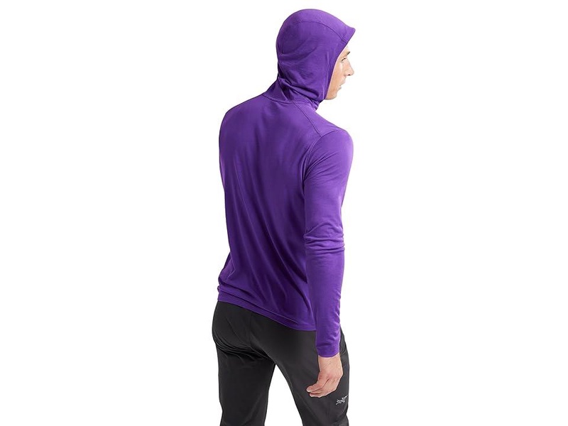 Ionia Merino Wool Hoody