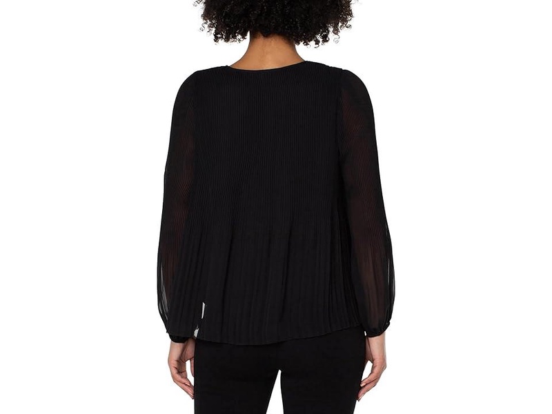 V-Neck Long Sleeve Pleated Top