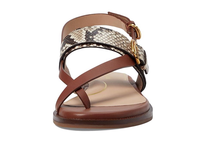 Anica Lux Buckle Sandals