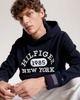 Monotype Collegiate Mens Hoodie