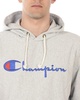 Champion Sweatshirt Hoodie in Grey