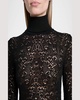 Meret Turtleneck Lace Net Sweater