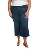 NYDJ Plus Patchie Major Wide Leg Capri Fanciful Jean