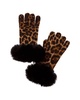 sofiacashmere Leopard Print Cashmere Gloves 