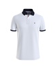 Tommy Hilfiger Men's Big & Tall Short Sleeve Cotton Pique Flag Graphic Polo Shirt in Regular Fit