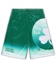 Men's Kelly Green Boston Celtics Big and Tall Graphic Shorts