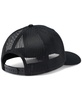 Men's Tree Flag Mesh Snapback Hat