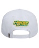 Men's White Norfolk State Spartans Evergreen Wool Snapback Hat