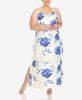 Plus Size Floral Strap Maxi Dress