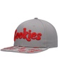 Men's Gray Triple Beam Snapback Hat